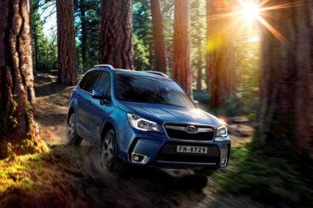 Subaru Forester 2015 %D0%BC%D0%BE%D0%B4%D0%B5%D0%BB%D1%8C%D0%BD%D0%BE%D0%B3%D0%BE %D0%B3%D0%BE%D0%B4%D0%B0